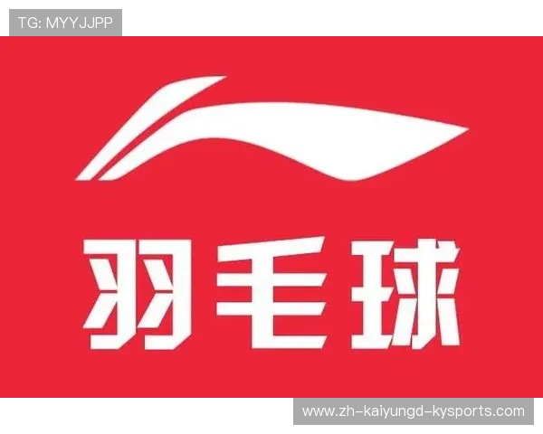 羽毛球李宁牌牌子